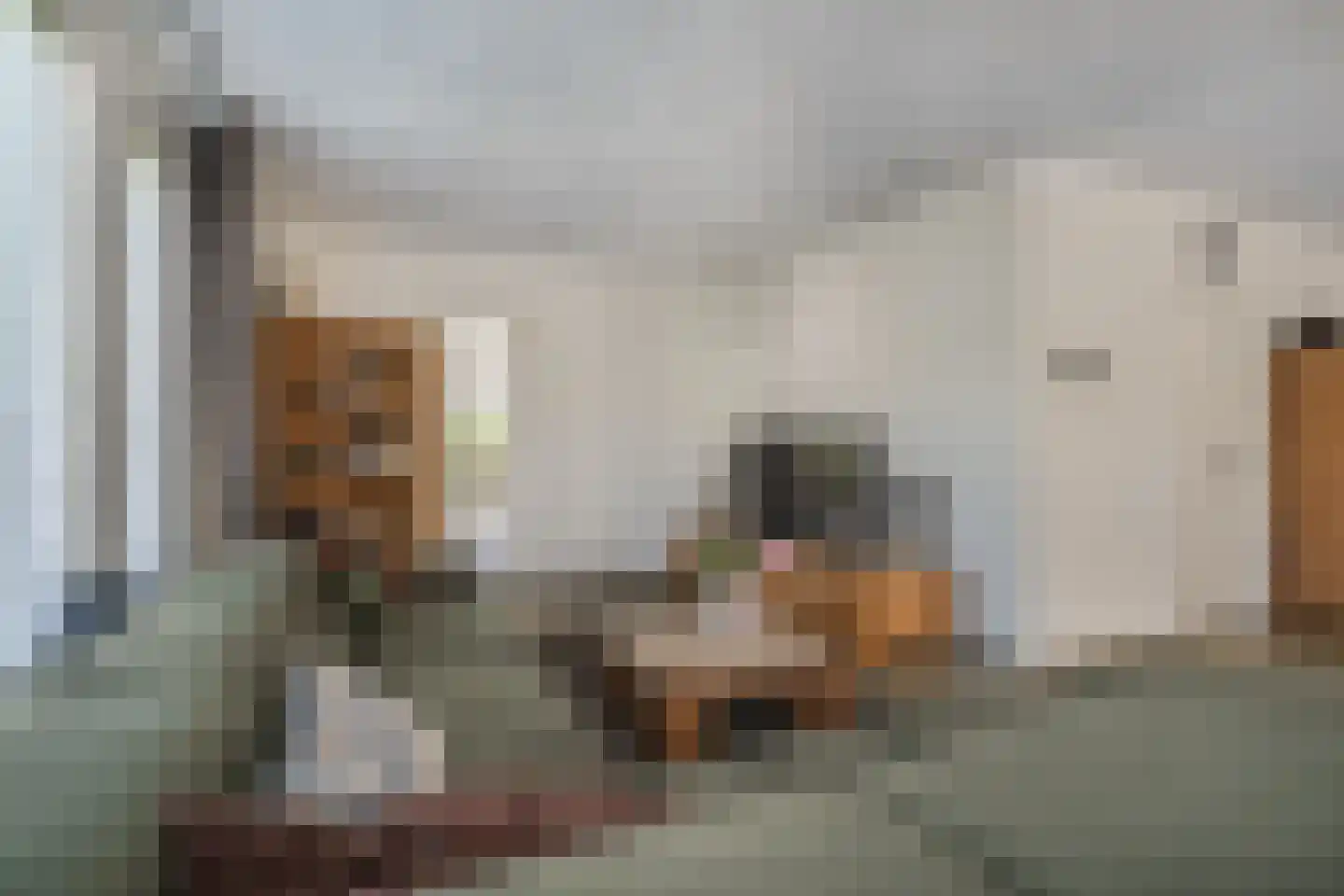 Slothoef 26 Gemonde thumbnail 6