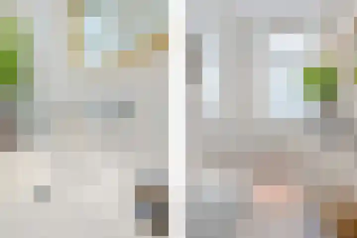 Slotlaan 100 1 Zeist thumbnail 10