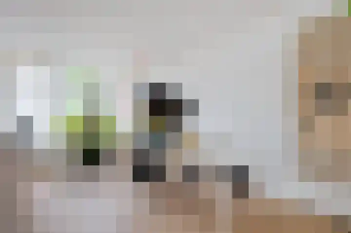 Slotlaan 100 1 Zeist thumbnail 20