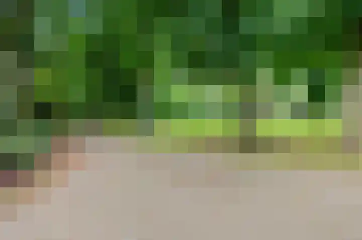 Slotlaan 100 1 Zeist thumbnail 39