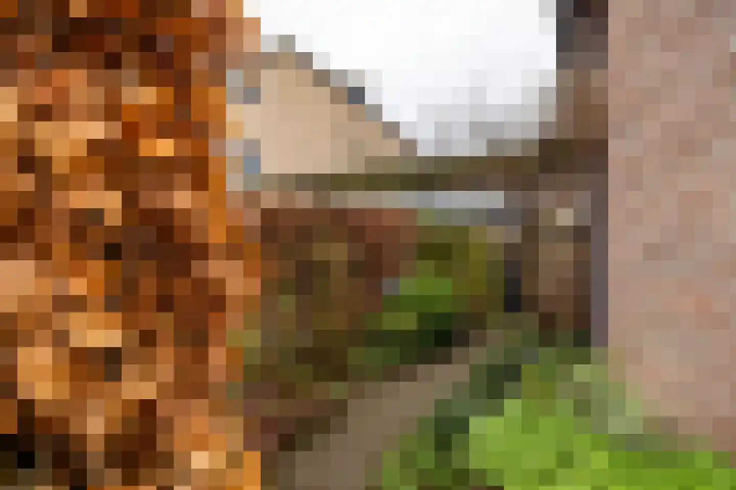 Slotlaan 105 Doetinchem thumbnail 24