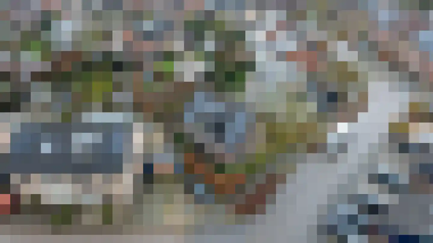 Slotlaan 105 Doetinchem thumbnail 48