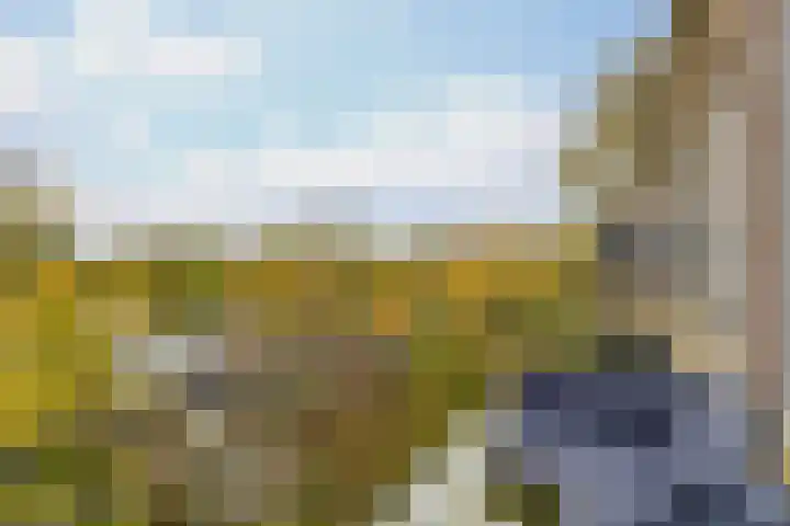 Slotlaan 108 Utrecht thumbnail 27