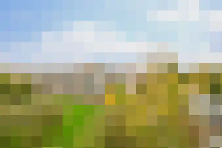 Slotlaan 108 Utrecht thumbnail 28