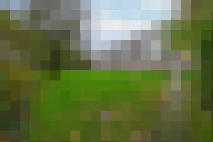 Slotlaan 108 Utrecht thumbnail 36