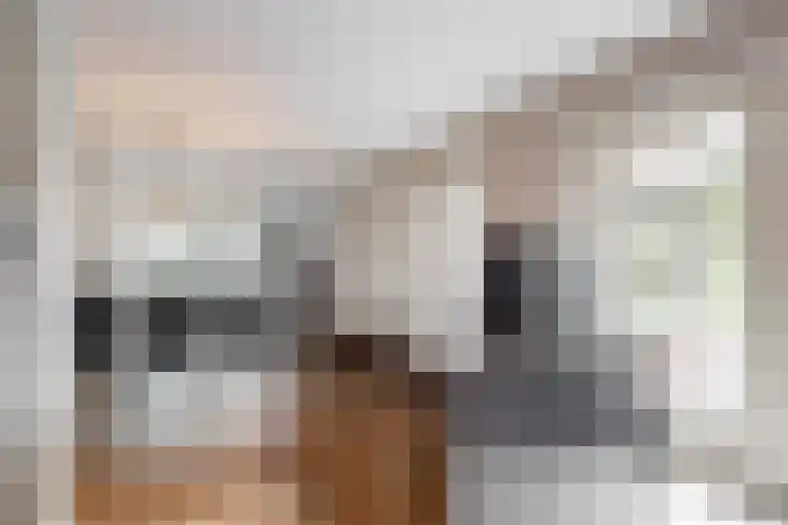 Slotlaan 11 Wervershoof thumbnail 15