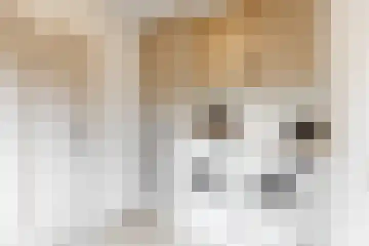 Slotlaan 11 Wervershoof thumbnail 19