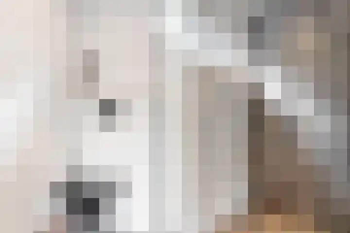 Slotlaan 11 Wervershoof thumbnail 24