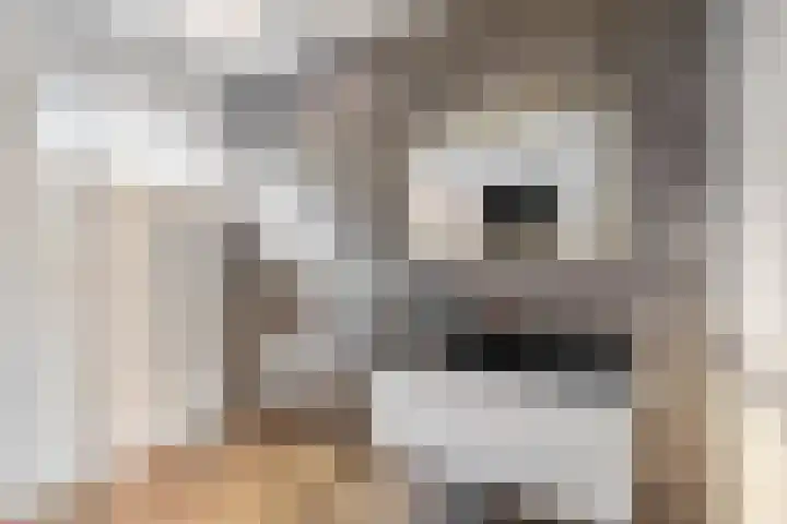 Slotlaan 11 Wervershoof thumbnail 26