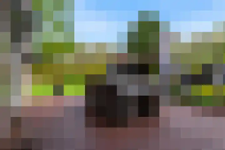 Slotlaan 11 Wervershoof thumbnail 44