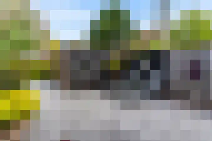 Slotlaan 11 Wervershoof thumbnail 46