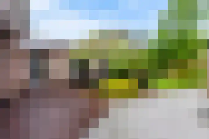 Slotlaan 11 Wervershoof thumbnail 47
