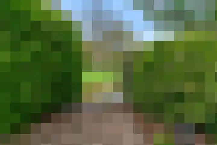 Slotlaan 11 Wervershoof thumbnail 56