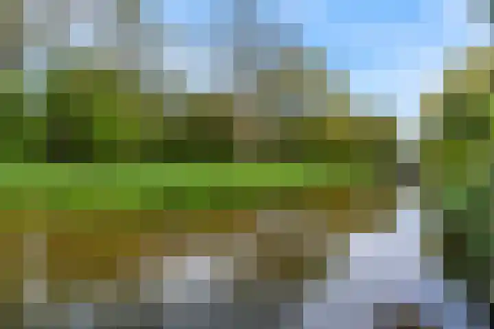 Slotlaan 11 Wervershoof thumbnail 57