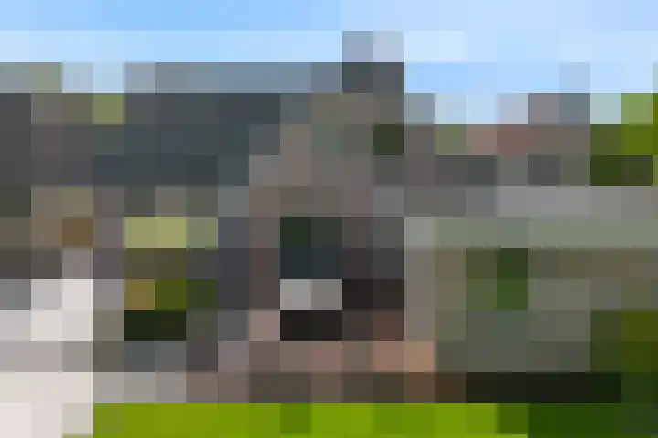 Slotlaan 11 Wervershoof thumbnail 58