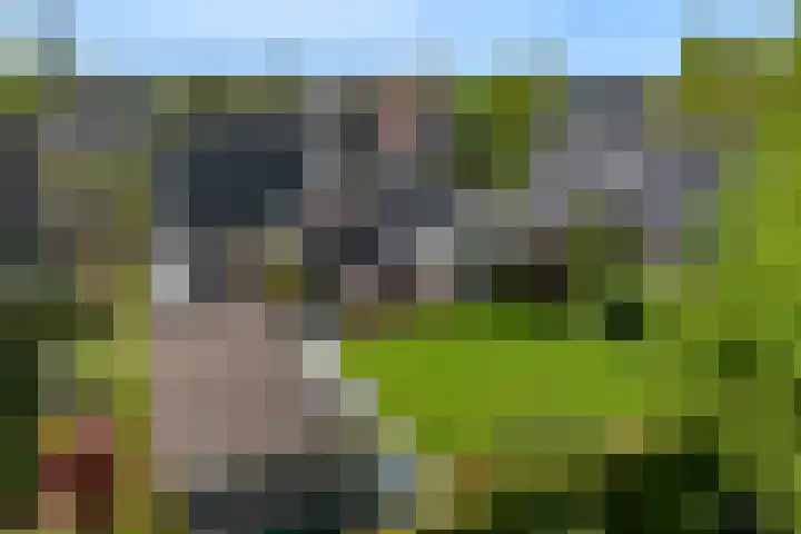 Slotlaan 11 Wervershoof thumbnail 60