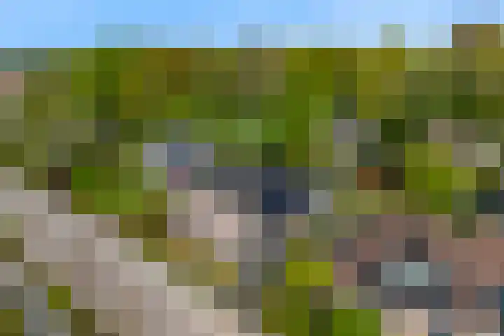 Slotlaan 11 Wervershoof thumbnail 62
