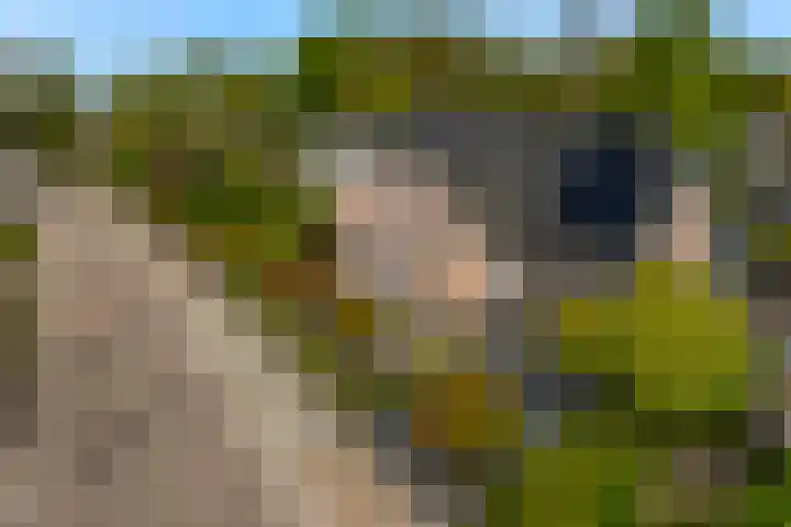 Slotlaan 11 Wervershoof thumbnail 64