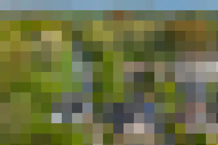 Slotlaan 11 Wervershoof thumbnail 65