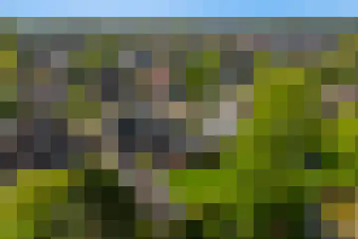 Slotlaan 11 Wervershoof thumbnail 66