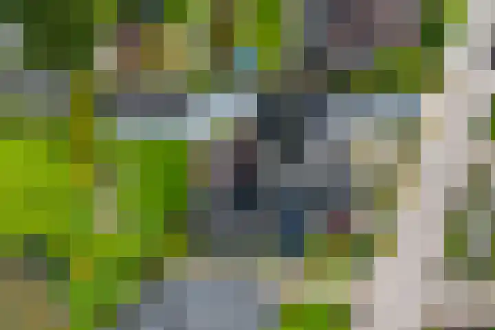 Slotlaan 11 Wervershoof thumbnail 67