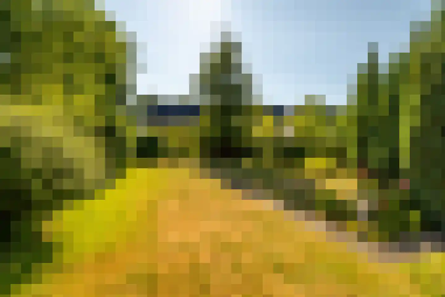 Slotlaan 112 Ulvenhout thumbnail 17