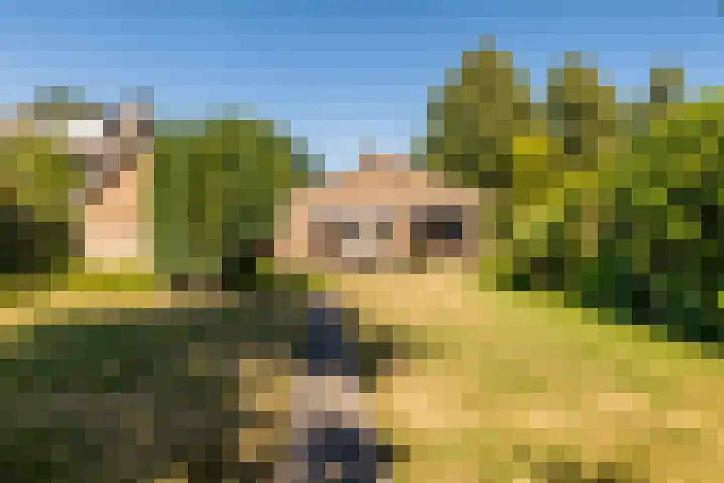 Slotlaan 112 Ulvenhout thumbnail 20
