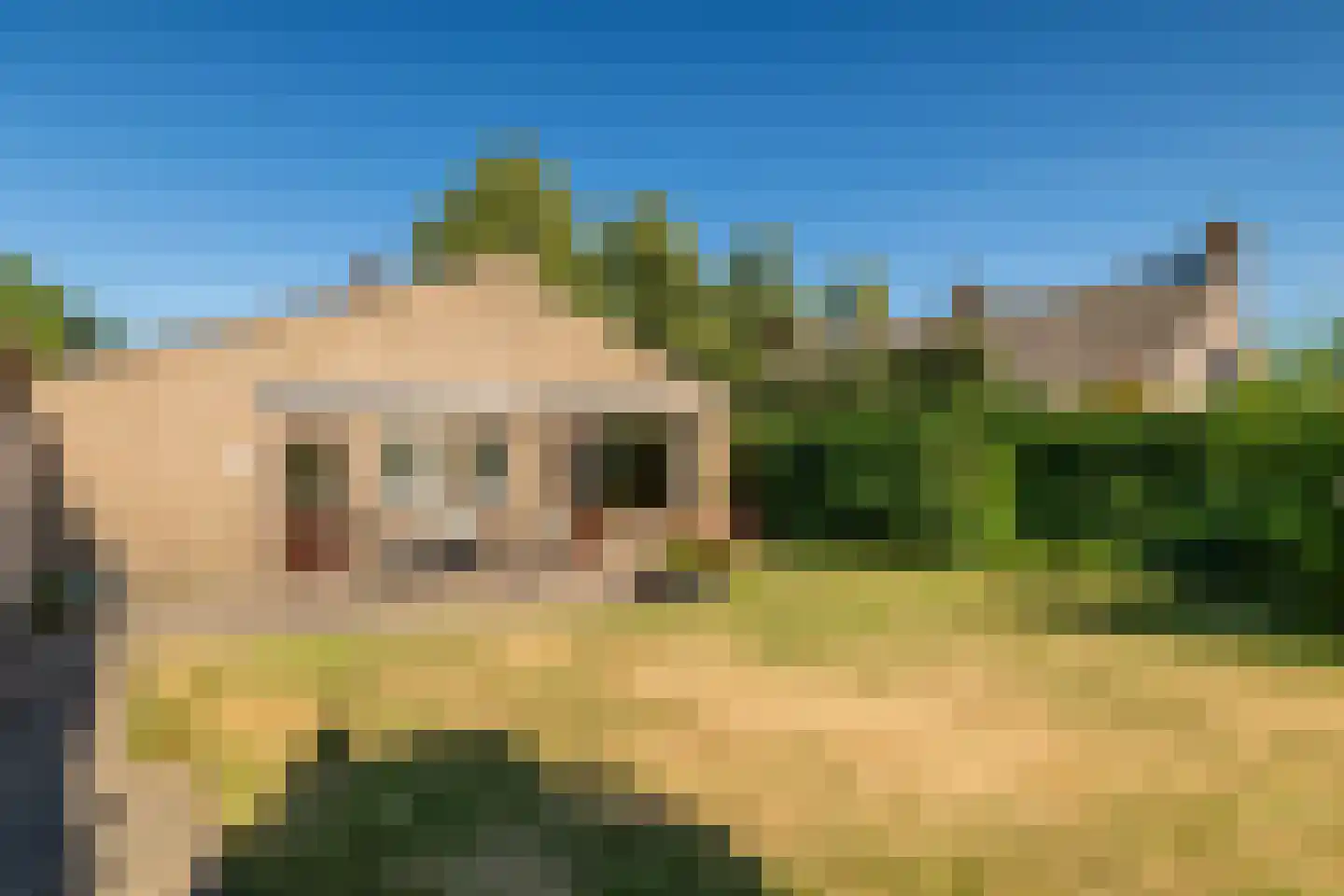 Slotlaan 112 Ulvenhout thumbnail 21