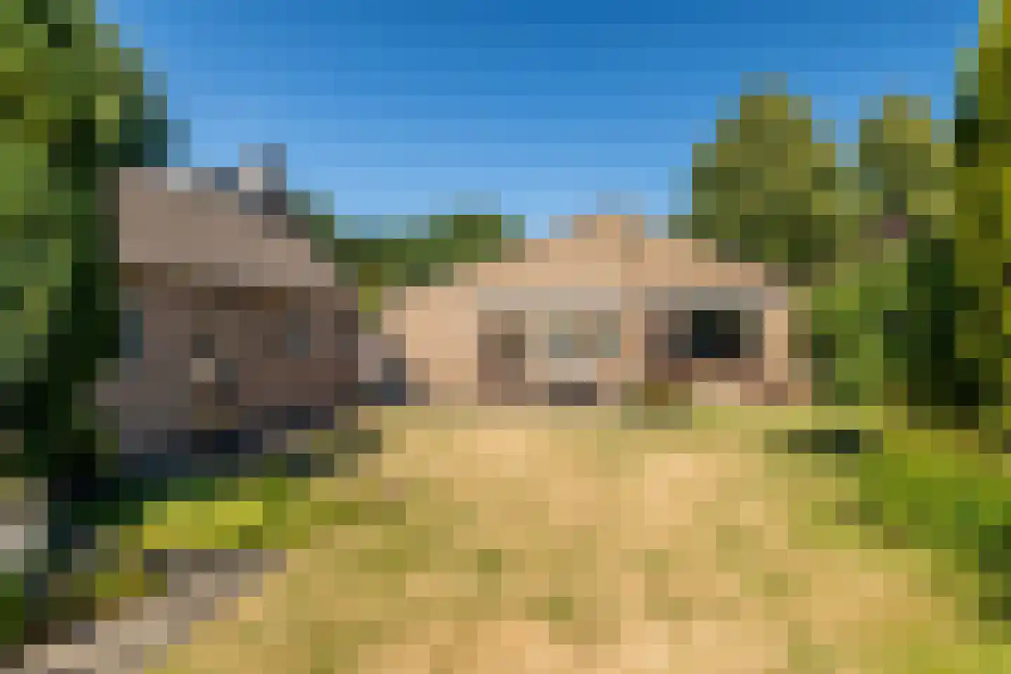 Slotlaan 112 Ulvenhout thumbnail 22