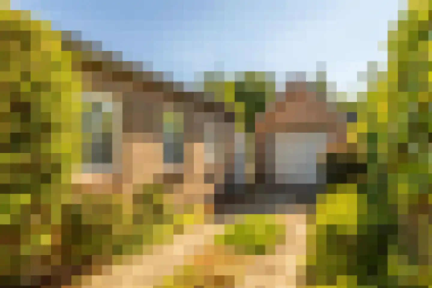 Slotlaan 112 Ulvenhout thumbnail 24