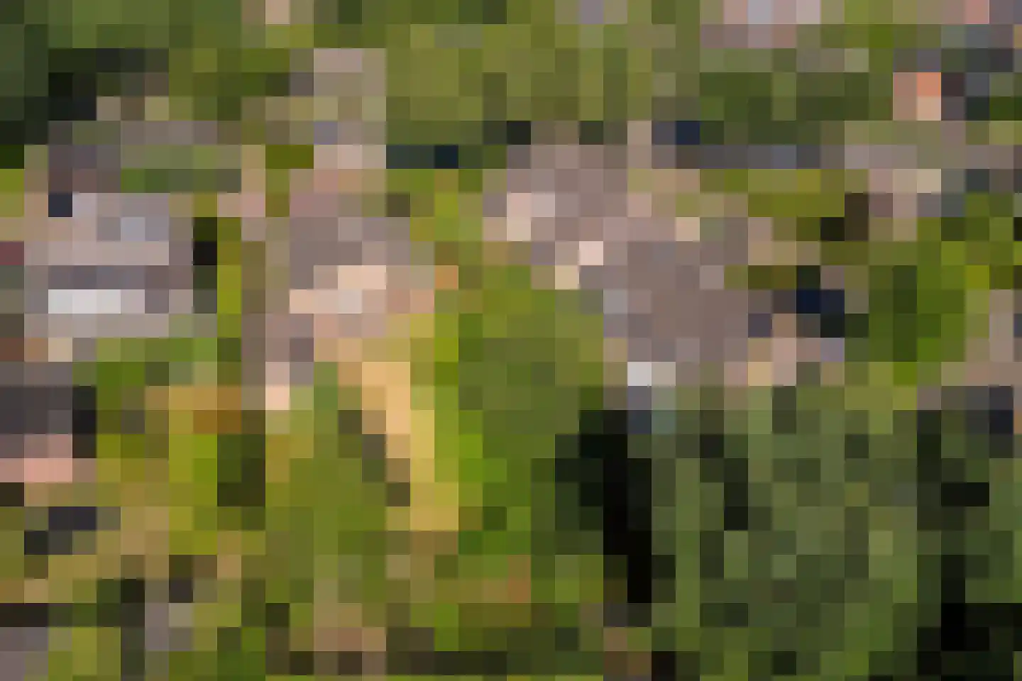 Slotlaan 112 Ulvenhout thumbnail 26