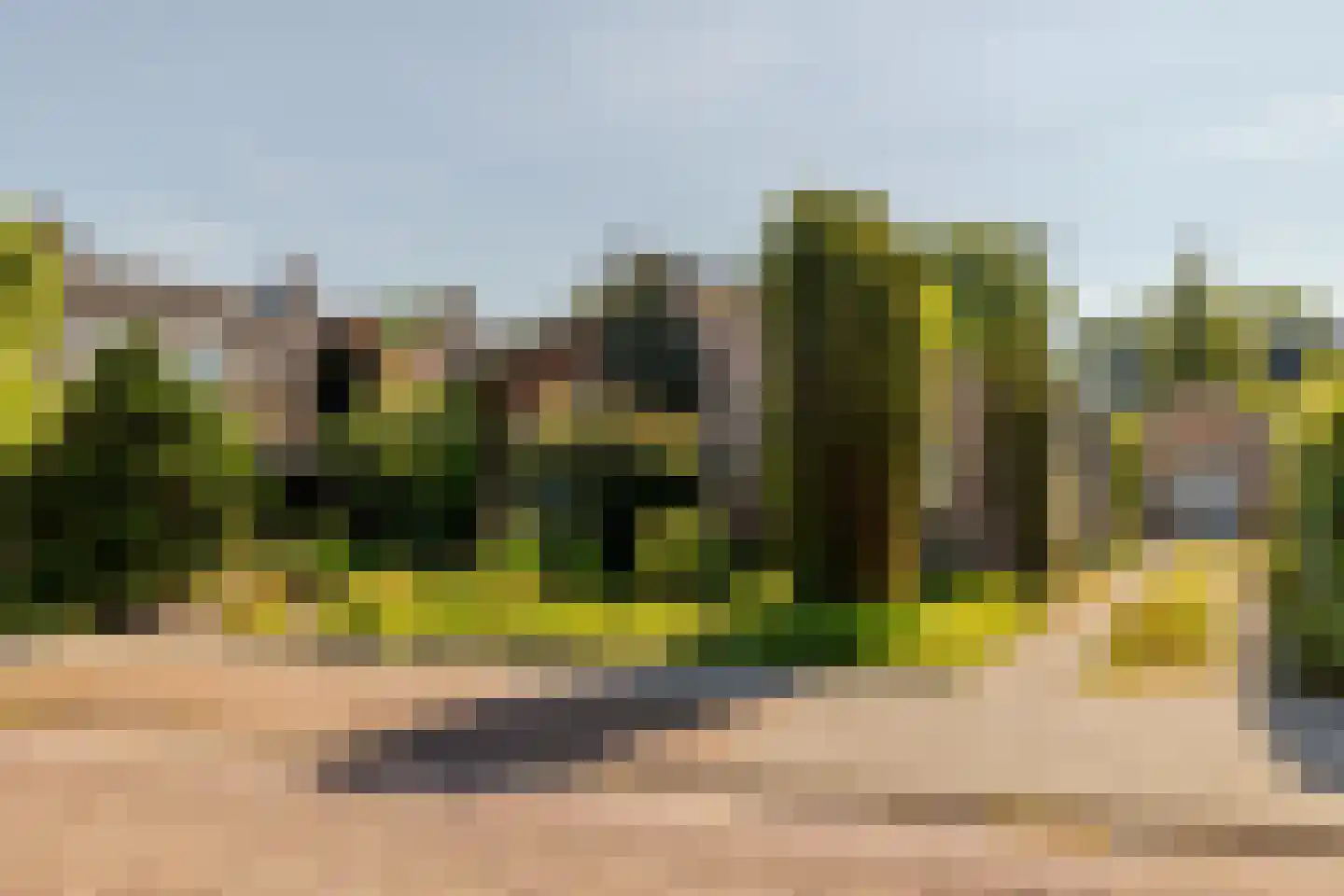 Slotlaan 112 Ulvenhout thumbnail 28