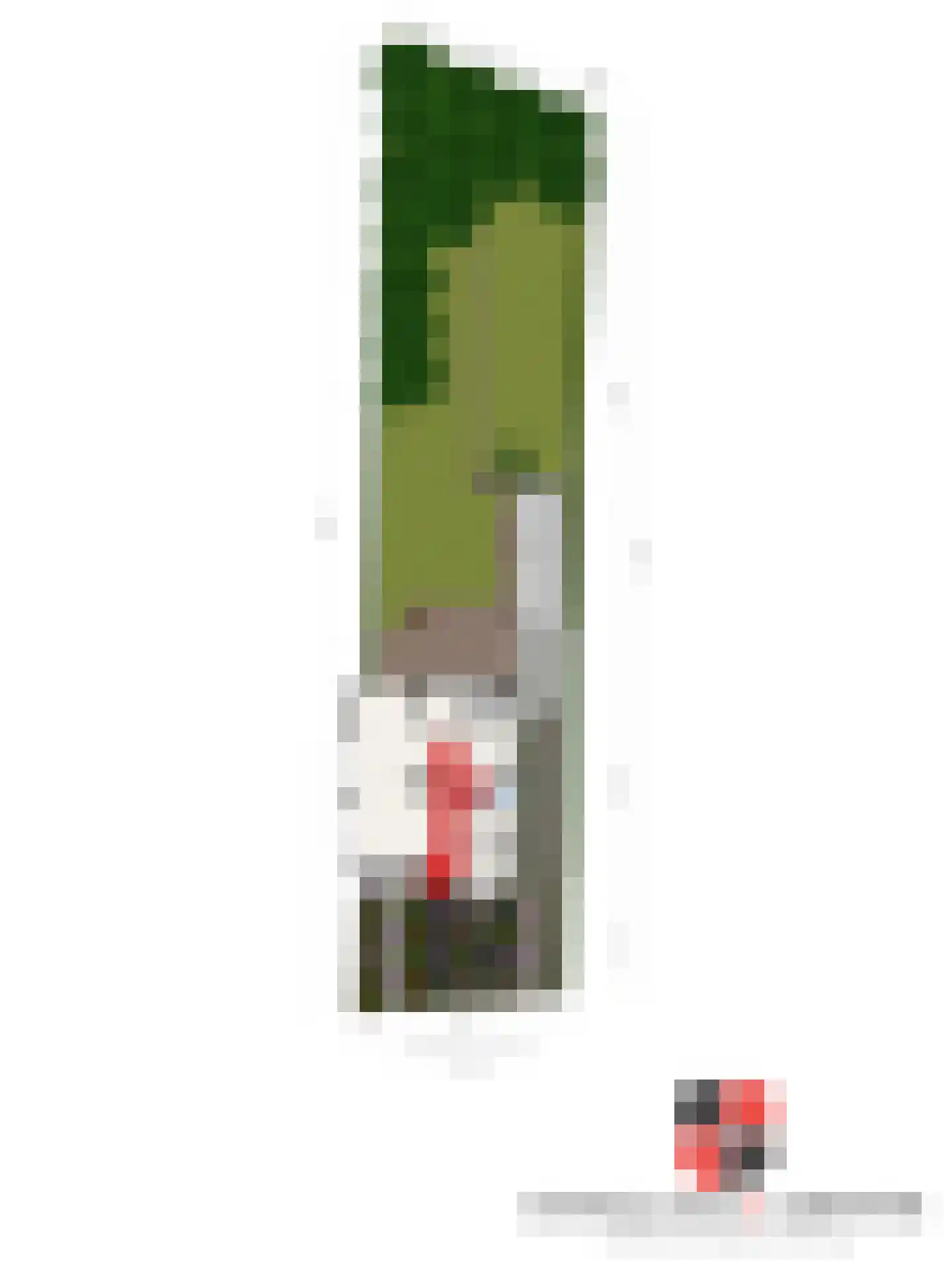 Slotlaan 112 Ulvenhout thumbnail 31
