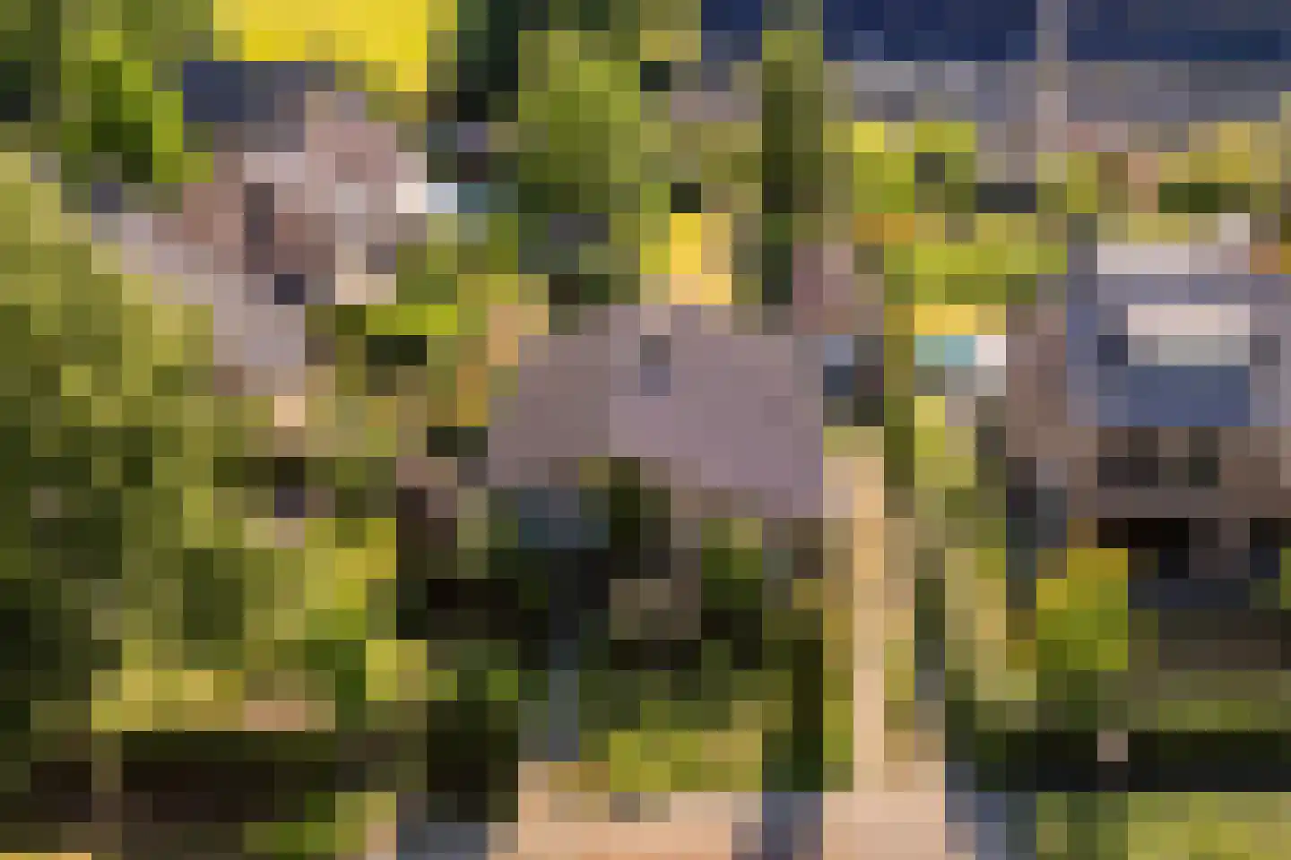 Slotlaan 112 Ulvenhout thumbnail 4