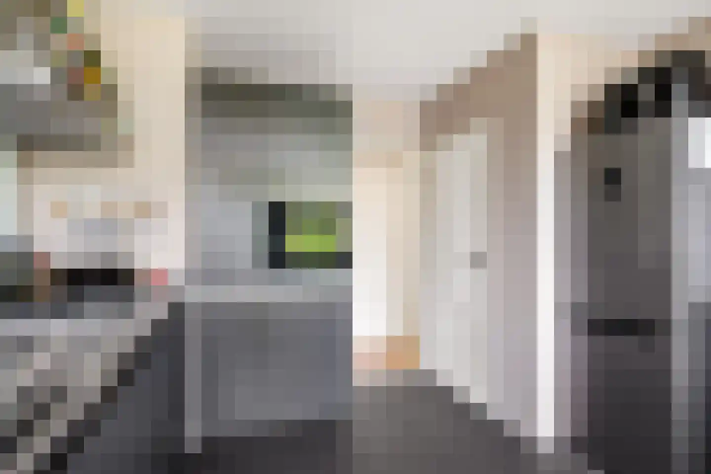 Slotlaan 118 Utrecht thumbnail 15