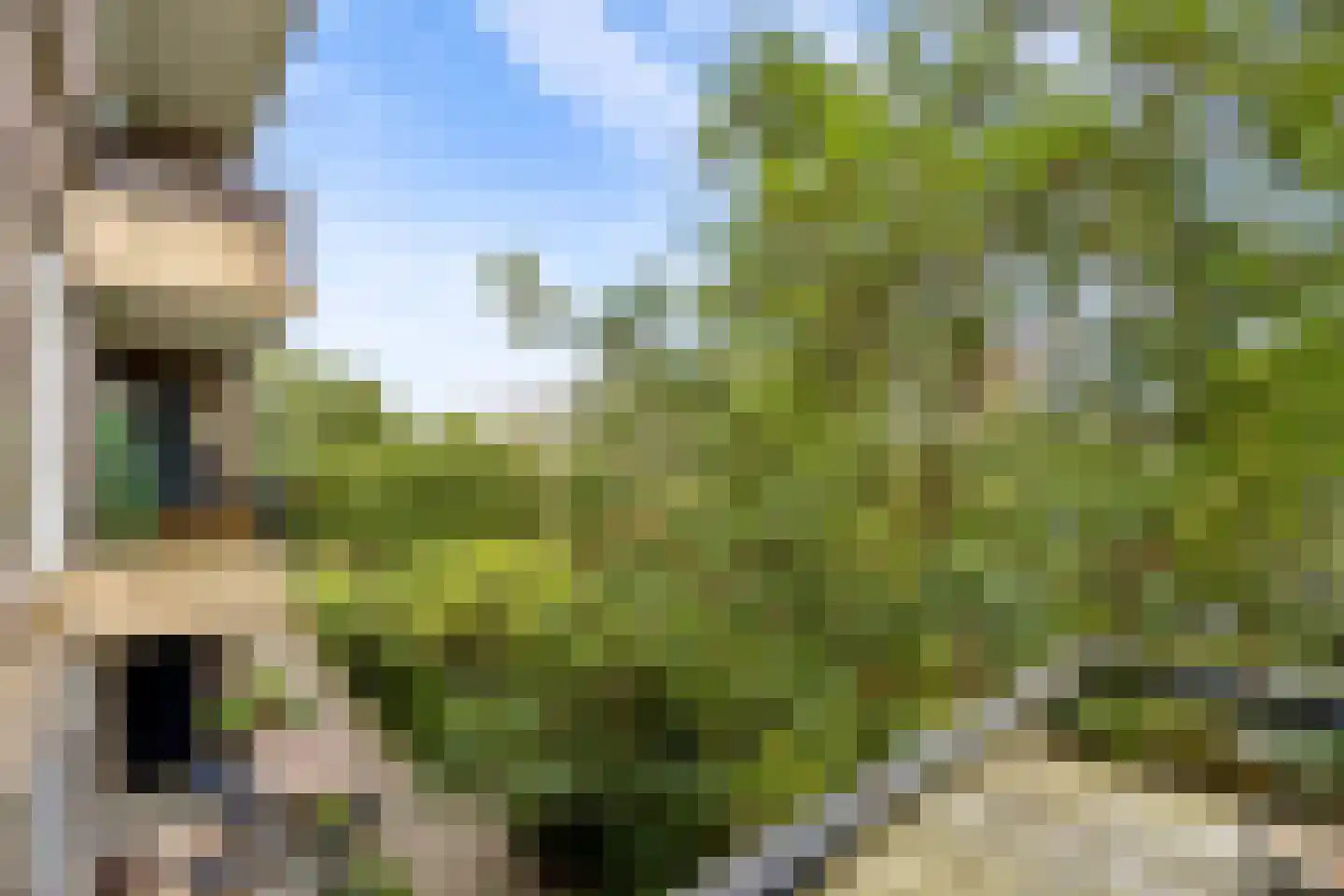 Slotlaan 118 Utrecht thumbnail 25