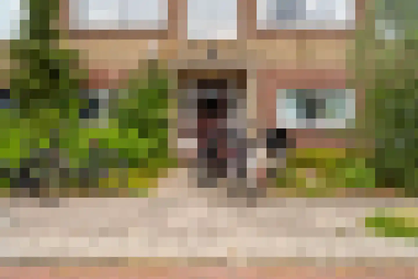 Slotlaan 118 Utrecht thumbnail 4
