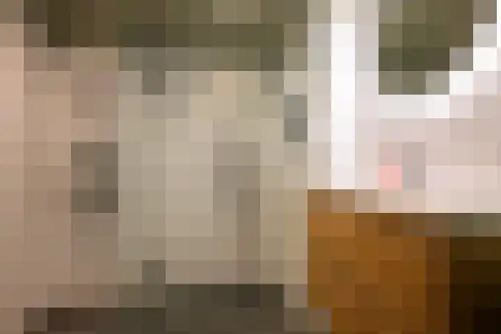 Slotlaan 119 1 Zeist thumbnail 28