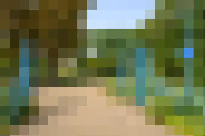 Slotlaan 119 1 Zeist thumbnail 30