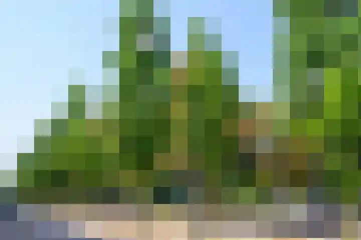 Slotlaan 119 1 Zeist thumbnail 31