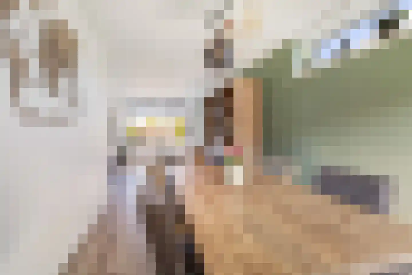 Slotlaan 122 Capelle aan den IJssel thumbnail 11