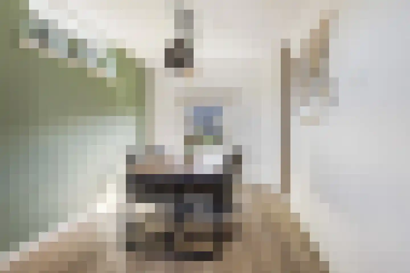 Slotlaan 122 Capelle aan den IJssel thumbnail 12