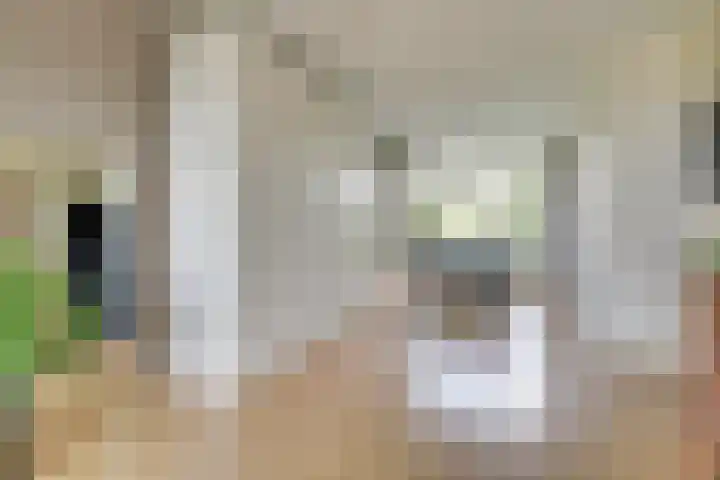 Slotlaan 122 Utrecht thumbnail 10