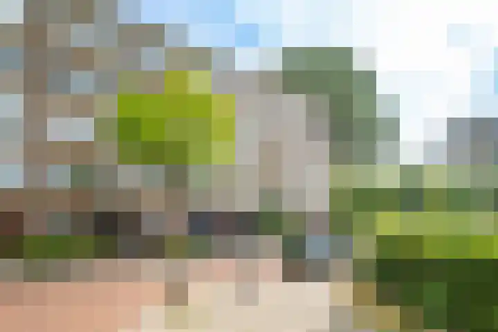 Slotlaan 122 Utrecht thumbnail 29