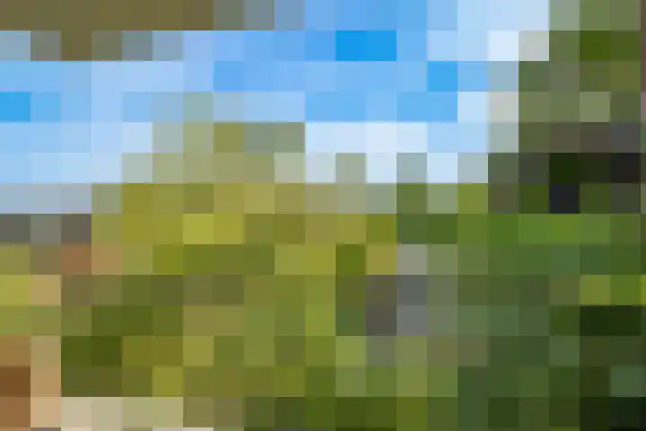 Slotlaan 122 Utrecht thumbnail 30