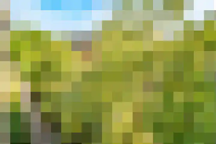 Slotlaan 122 Utrecht thumbnail 33