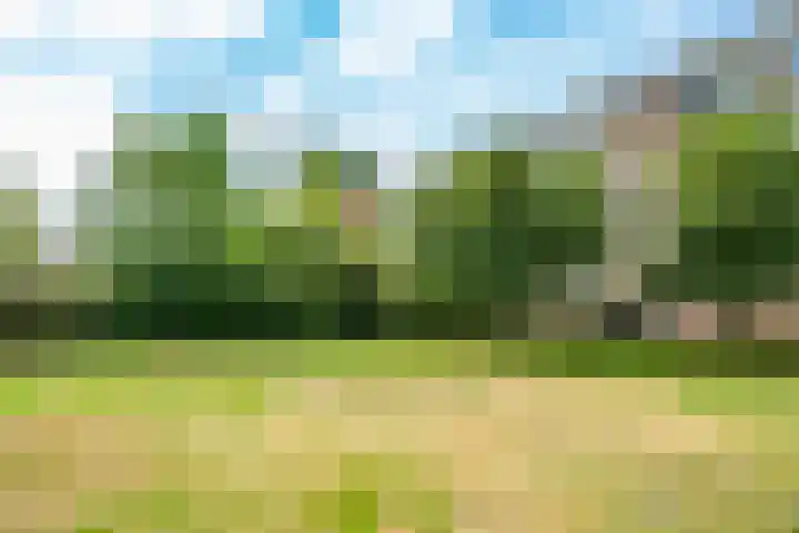Slotlaan 122 Utrecht thumbnail 36