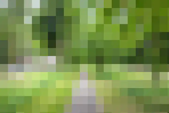 Slotlaan 122 Utrecht thumbnail 39