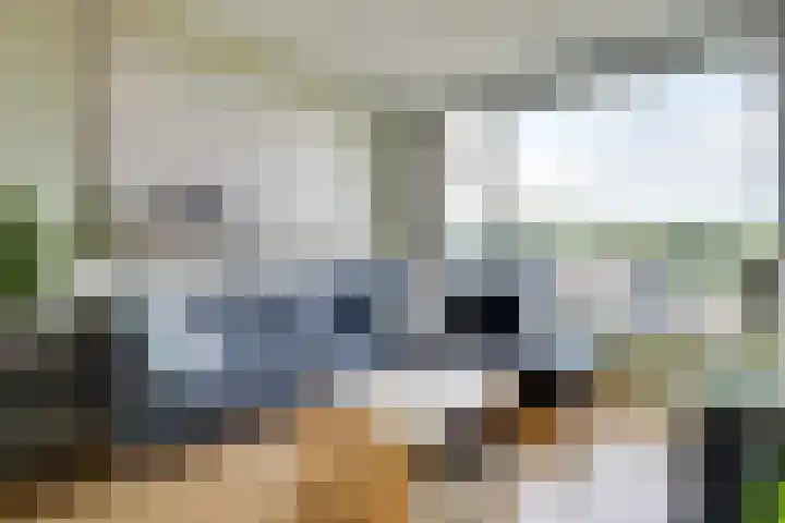 Slotlaan 122 Utrecht thumbnail 8