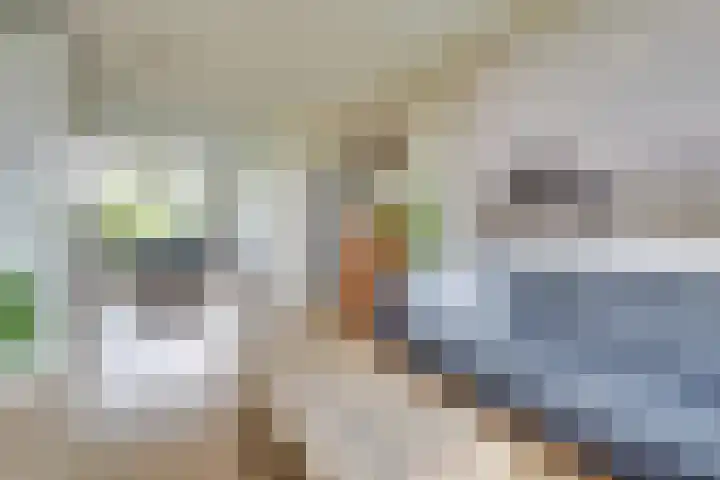 Slotlaan 122 Utrecht thumbnail 9